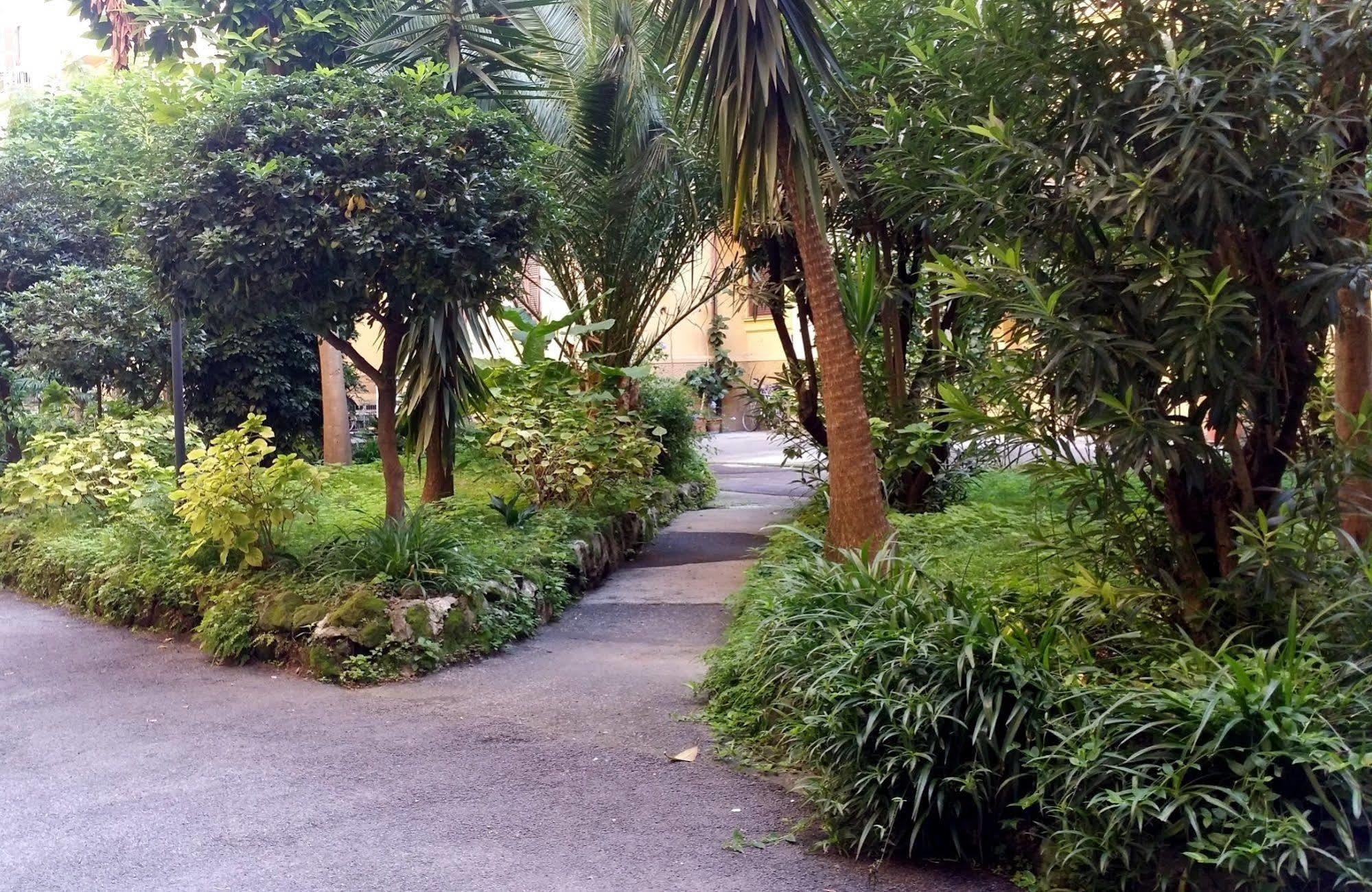 Fiocca Roma